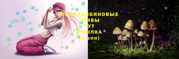 гидропоника Куйбышев